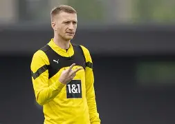 关于霍芬海姆小将表现抢眼，球队未来可期的信息